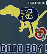 Image result for Michigan Wolverine Funny
