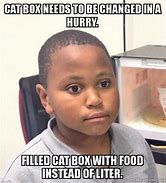 Image result for Cat Box Meme