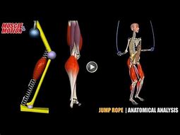 Image result for Jump Rope Muscles