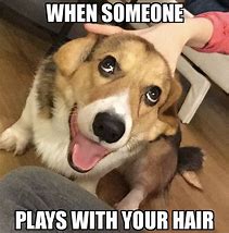 Image result for cute dogs meme with caption