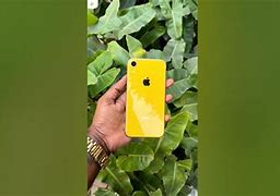 Image result for iPhone XR Yellow Cricket