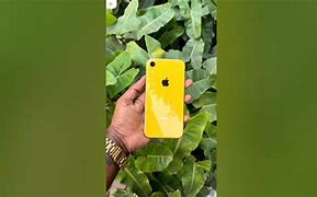 Image result for iPhone XR Yellow