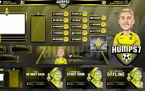 Image result for eSports Teams Overlay