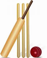 Image result for Cricket Bat and Ball PNG