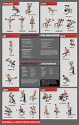 Image result for Gym Exercise Chart