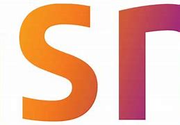 Image result for NSN Logo.png