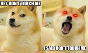 Image result for Don't Touch Me Cat Meme