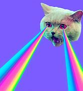 Image result for Space Cat Laser Eyes