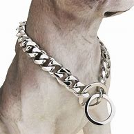 Image result for Stainless Steel Dog Choker