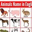 Image result for Symbols and Names