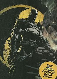 Image result for Batman Inc. David Finch
