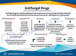 Image result for anti fungal drug