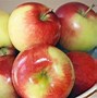 Image result for Half Apples Compare