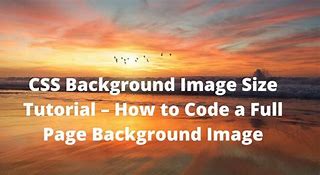 Image result for A5 Size Background