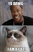 Image result for Yo Dawg Meme Indonesia