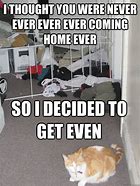 Image result for Home Alone Cat Memes