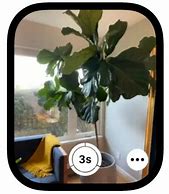 Image result for Viewfinder On Apple Watch