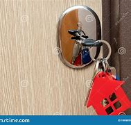 Image result for Locking Carabiner Keychain