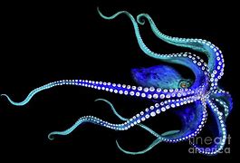 Image result for Blue Octopus Painting