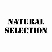 Image result for Natural Selection Shirt