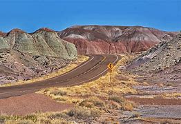 Image result for Petrified Forest Arizona