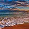 Image result for Summer Beach View
