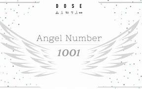 Image result for Meaning of 1001