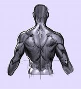 Image result for Simple Back Drawing