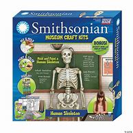 Image result for Human Body Crafts Kit