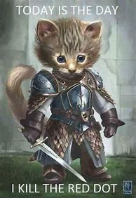 Image result for Funny Armor