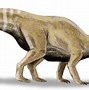 Image result for yamaceratops