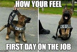 Image result for Happy First Day of New Job Meme