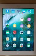 Image result for Apple iPad 4 Little Tablet