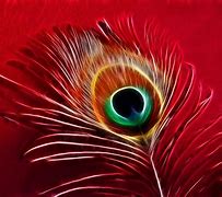 Image result for Feather Background Wallpaper