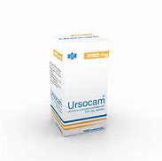 Image result for ursocam
