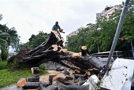Image result for Typhoon Saola Makes Landfall