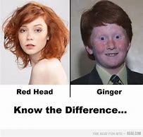 Image result for Red Hair and Pronouns Meme