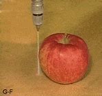 Image result for 1. Apple Calories