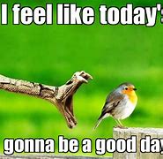 Image result for Today Is a New Day Funny Meme