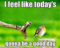 Image result for Good Day Funny