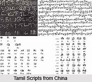 Image result for Tamil-language Numbers