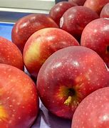 Image result for NZ Red Ruby Star Apple