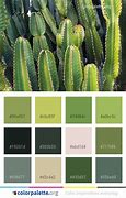 Image result for Cactus Green Color