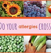 Image result for Allergy Cross-Reaction Chart