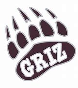 Image result for Montana Grizzlies Logo