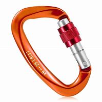 Image result for Screw Lock Carabiner