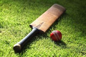 Image result for Cricket Wallpaper 4K