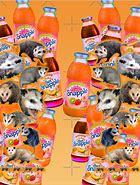 Image result for Snapple Possum Jeans