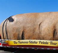 Image result for Largest Potato Images