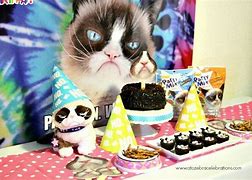 Image result for Grumpy Cat Party